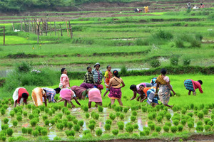 Agriculture Support